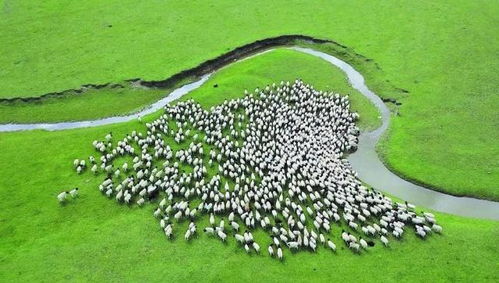 新疆 以環(huán)保為基，升級設(shè)施與服務(wù)，打造高品質(zhì)旅游新名片