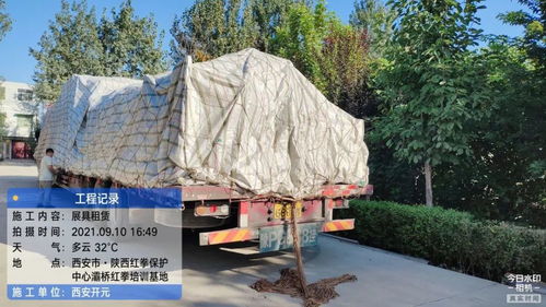 開元展覽 環(huán)保展具跨越山海，綠色理念扎根新疆